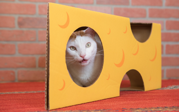 Monster Cheese Wedge - Cardboard Box Playhouse For Cats by Cat in the Box