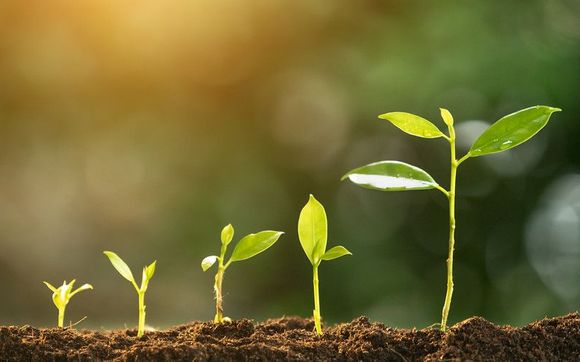 1:1 Mental Performance Coaching by JT Performance Consulting