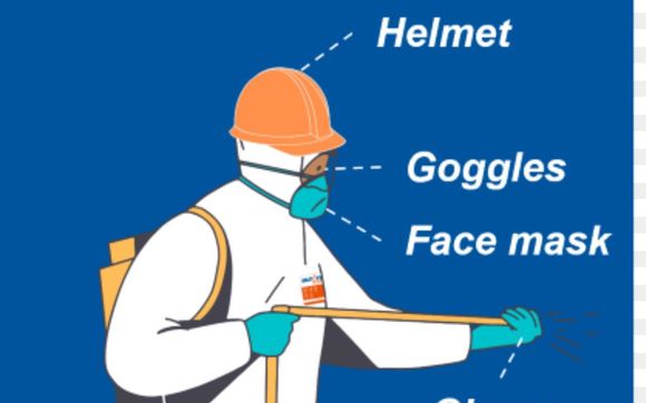 Mask, Gloves, Screens — All of Your Personal Protective Equipment Needs ...