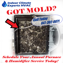 LET'S TALK HEALTHY HUMIDITY... ARE YOU BREATHING MOLD SPORES? by Indoor Climate Experts HVAC