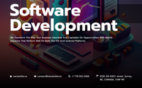 Custom Software Development by Nectarbits Solutions - Software Development Company in Canada