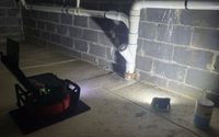 Sewer Scope Inspection by Silver Fox Home Inspections LLC