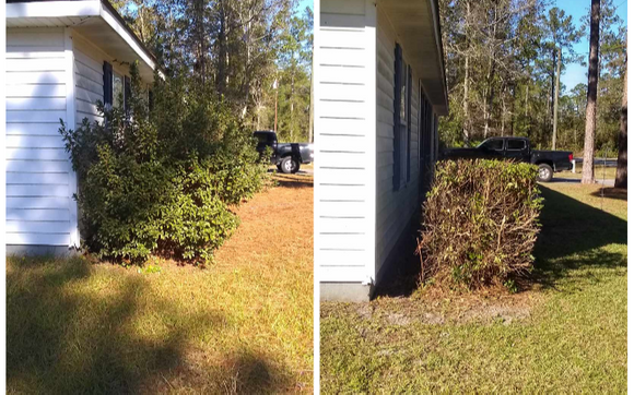 Lawn care, pressure washing  by Oasis Property Management