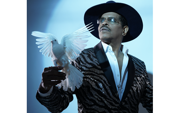 Magic and illusion entertainment by Magic of The Spellbinder