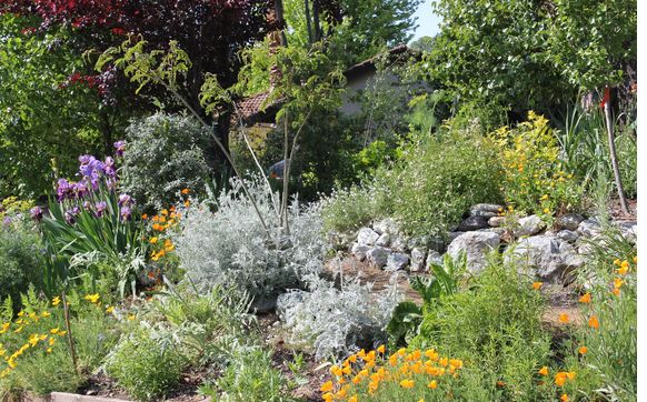 Sprinklers & Irrigation by Marion Shaw Greenscpae Designer