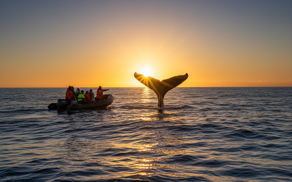 Travel Itineraries by Westwood Lake R.V. Camping & Cabins