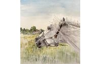 Fine Art by Christine Lazzara Doolittle Fine Art