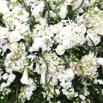 Sympathy and Celebrations of life. by Playa del Rey Florist