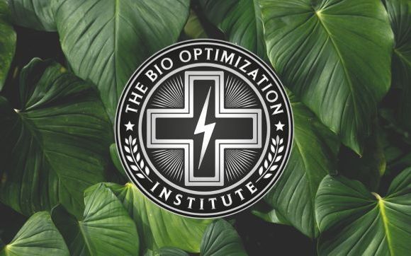Holistic Healing by The Bio Optimization Institute