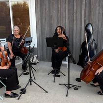 Background Music by Viva la Strings