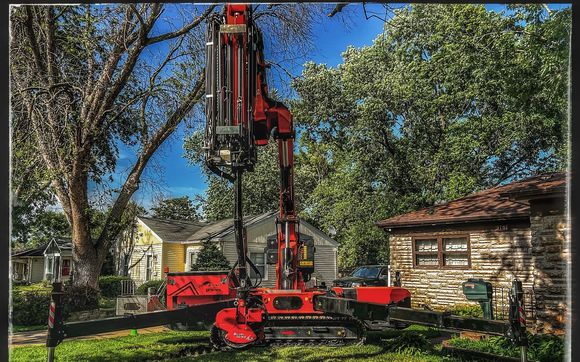 Tree trimming and removals by Tree Guardian USA, LLC
