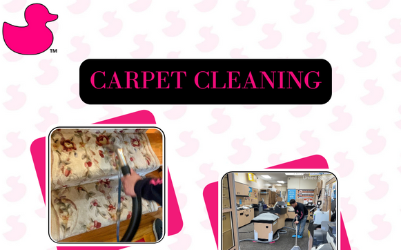 Professional Carpet Cleaning -Clean Floors, Healthier Air by Luxe Ducts