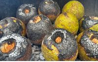 Superfood Roast or Green Breadfruit  by ROLLE DRINKS Wealth of Health Superfoods Market