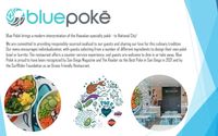 Online Ordering by Blue Poké