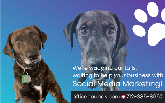 We've Been Social Since 2009! by Officehounds - Social Media Marketing & Podcast Presenter
