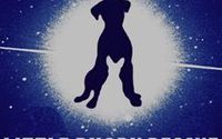Dog Training through Dog On It / Sirius Project by Little Rhody Rescue and Quarantine Inc