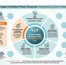 Animal-Angels Foundation Partner Ecosystem by Animal-Angels Foundation 