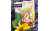 Divination and Mediumship Services by Mountain Heights Healing