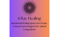 Goal Setting and Accountability Support by 6 Ray Healing