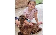 Tours  by Kickin' Back Alpaca Ranch