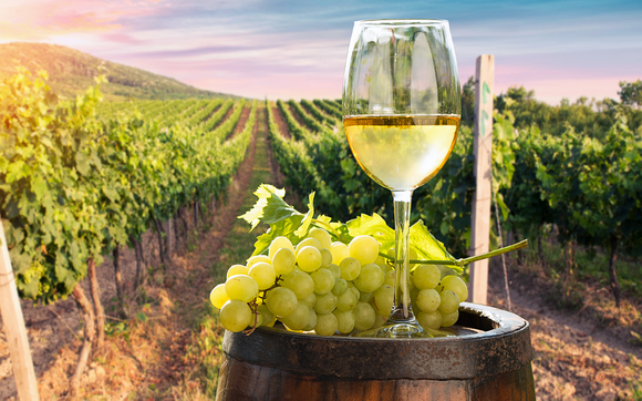 Vineyard Days Done Right - SUSSEXPRESS - Premium Group Transportation by SUSSEXPRESS LLC