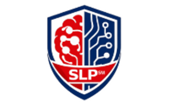 CyberSurv Security Leadership Program (SLP℠) by CyberSurv, LLC