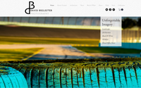 Web Development Sample by Graphic Design and Fine Art Painting