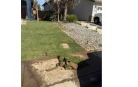 Lawn Edging and mowing  by JCP Lawn Service