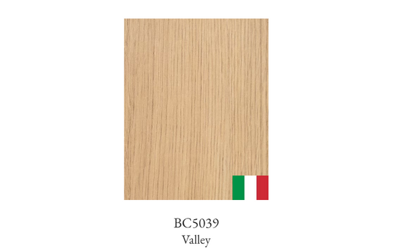 BC5039 Valley Flat Panel Doors by Stacy Buck