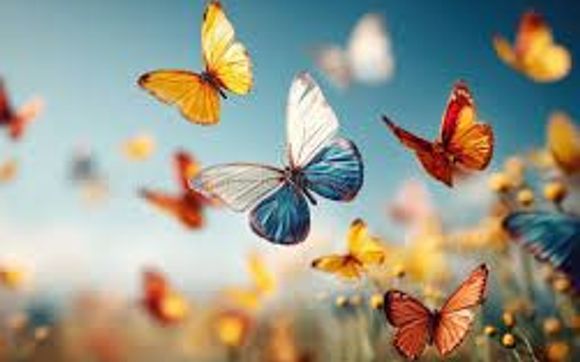 Teaching, Butterflies, and Bookkeeping 🦋 by Gulaskey Bookkeeping Solutions LLC