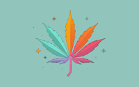 CBD Personal Care Products @ CannaVerse Essentials by CannaVerse Essentials Portfolio Includes:  Erth Wellness; CBD BioCare; & Cannaglobe