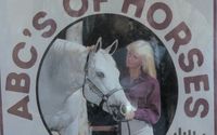 Expert Witness in legal matters involving horses.  by Wood-N-Horse Training Stables
