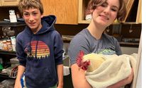 Volunteering Opportunities by Rancho Compasion