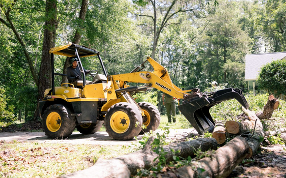 Tree service Tallahassee by Miller's Tree Service