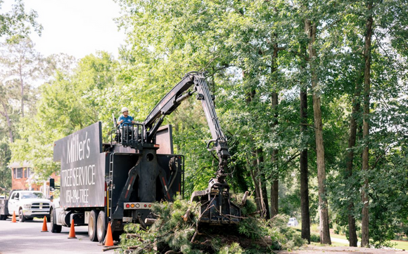 Tree removal Tallahassee by Miller's Tree Service
