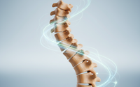 Chiropractic Care by New West Wellness Centre Inc. 