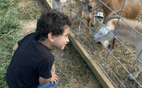 Guided sanctuary tours and community visits by Compass Rose Farm Sanctuary