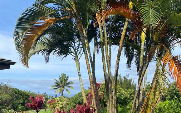 Residential Sales by Hawaii Life Real Estate Services