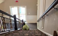 Porter Day Services by ExpoCleaning & Maintenance Corp.