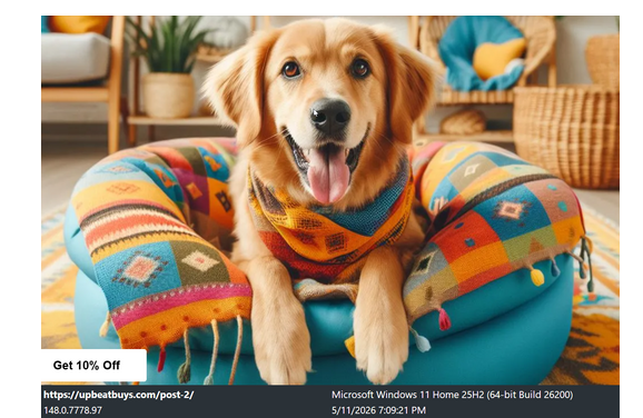 For The Love Of Animals by Fur Heaven's Sake