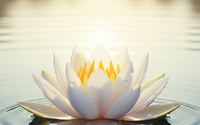Personalized Health Plans by Esser Counseling Services, PLLC