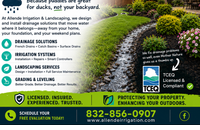 Drain Repair by Allende Irrigation and Landscaping