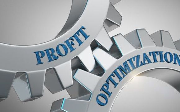 Project Profitability Optimization by Butgereit Financial Services, LLC