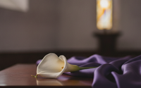 Funeral Services by Church Emmanuel of Long Island