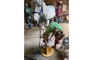 Barefoot Horse - Farrier Service by Harmony Rose Ranch Inc.