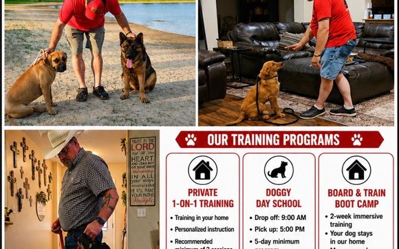 We train dogs by Paws for Christ K-9 Training