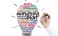 Marketing Strategy by Olivo Media Group