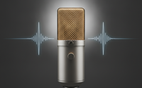 Voice Over Services by Real VO By Robert