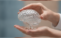 Individual Supervision  by Higher Truth Therapy