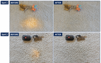Carpet Bleach Spot Repair by Just To Dye For